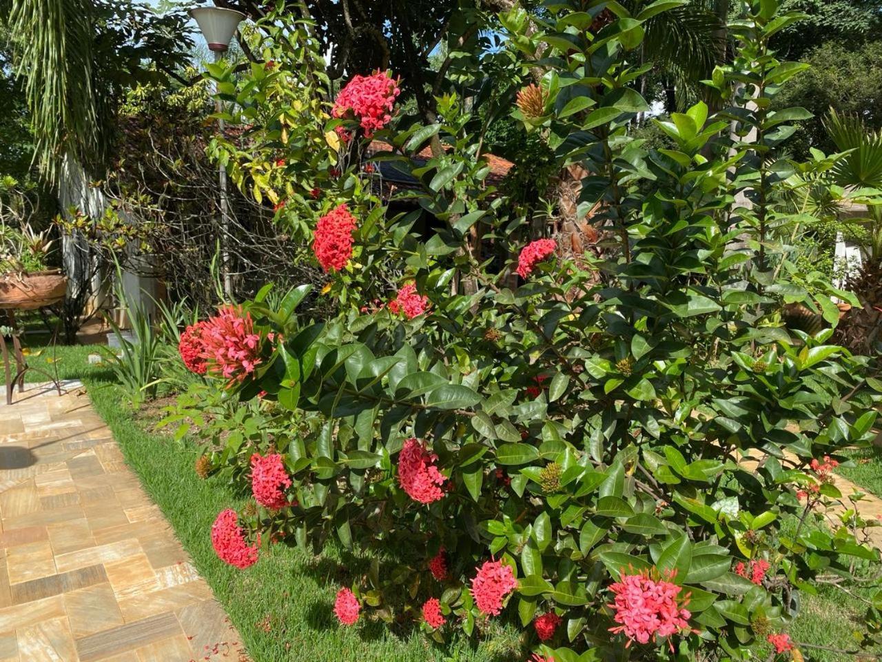 Pampulha Holiday home Belo Horizonte